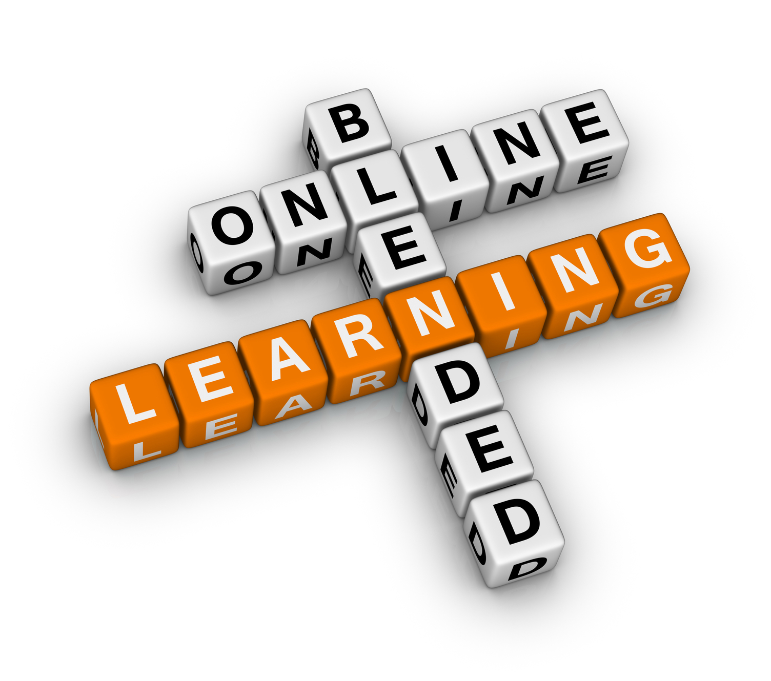 e-Learning.nl, de Nederlandse e-learning portal > Voorbeelden blended ...
