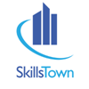 Boek SkillsTown: De presterende organisatie