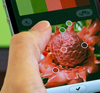 De juiste kleuren in je e-Learning met Adobe Kuler