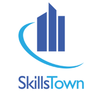 Boek SkillsTown: De presterende organisatie