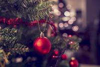 Voor onder de kerstboom: onze 5 beste blogs van 2016