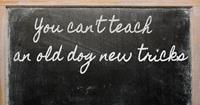 The Impact of Digital Learning: Old dogs, new tricks; does age really matter?